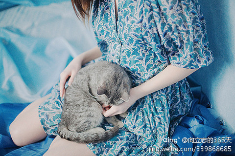 2014qq最新男生签名_WWW.WHOISQQ.COM