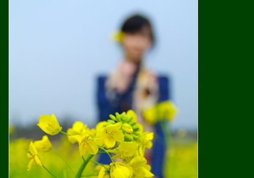 个性签名女生不理我的_WWW.WHOISQQ.COM