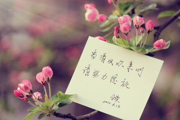 唯美女生繁体字qq签名_WWW.WHOISQQ.COM