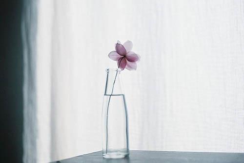 女生甜蜜爱情个性签名_WWW.WHOISQQ.COM