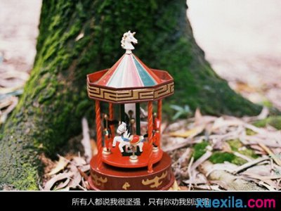 空间说说图片带字_WWW.WHOISQQ.COM