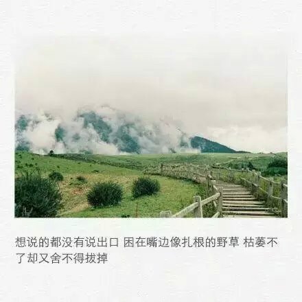 发说说用的伤感图片大全带字_WWW.WHOISQQ.COM