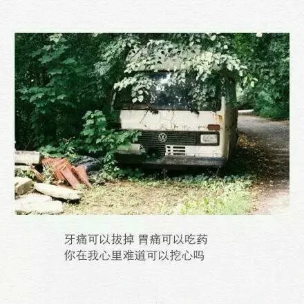 发说说用的伤感图片大全带字_WWW.WHOISQQ.COM