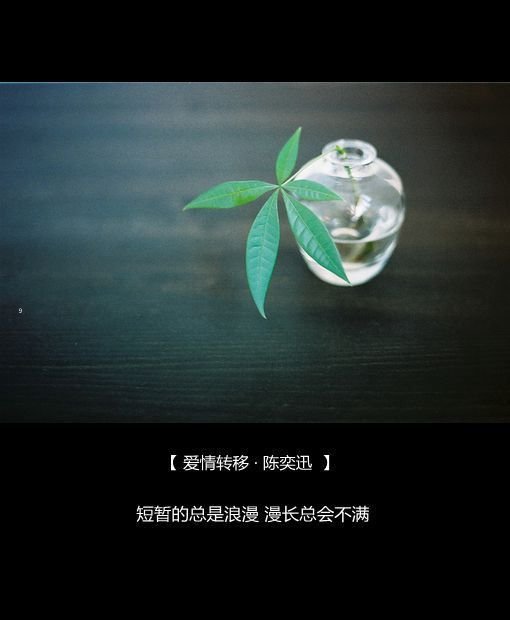 伤感歌词创意心情图片带字_WWW.WHOISQQ.COM