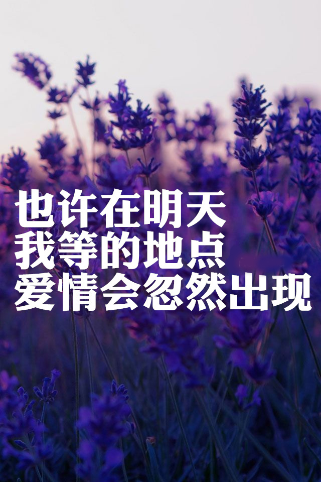 好看的个性治愈系文字图片_WWW.WHOISQQ.COM