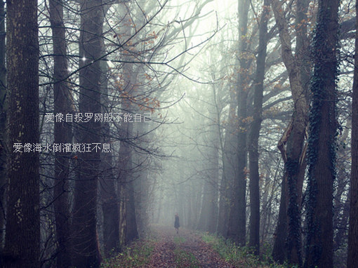讨厌一个人的说说_WWW.WHOISQQ.COM