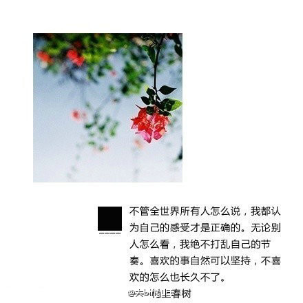 小清新文艺的村上春树经典语录图片_WWW.WHOISQQ.COM