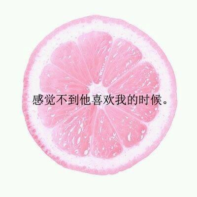 唯美粉色系柠檬图片带有文字版_WWW.WHOISQQ.COM