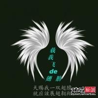 带翅膀男生头像图片_WWW.WHOISQQ.COM