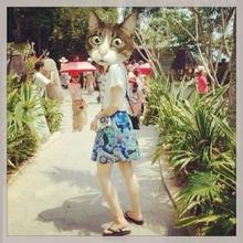 catwang男生头像图片_WWW.WHOISQQ.COM