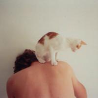 男生欧美有猫的头像图片_WWW.WHOISQQ.COM