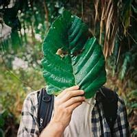 qq个性网男生森系头像图片_WWW.WHOISQQ.COM