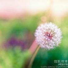 男生靠栏杆头像图片_WWW.WHOISQQ.COM