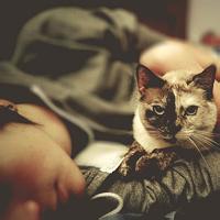 qq男生小宅男头像图片_WWW.WHOISQQ.COM