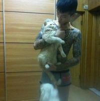qq头像图片 男生魏龙_WWW.WHOISQQ.COM