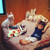 手里抱只狗男生头像图片_WWW.WHOISQQ.COM