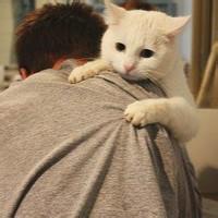 手里抱只狗男生头像图片_WWW.WHOISQQ.COM