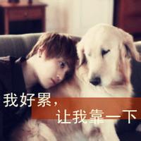 带zy的男生头像图片_WWW.WHOISQQ.COM