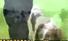 男生抱萨摩耶头像图片_WWW.WHOISQQ.COM