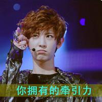 带字男生明星头像图片_WWW.WHOISQQ.COM