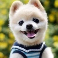 带有狗狗的男生头像图片_WWW.WHOISQQ.COM