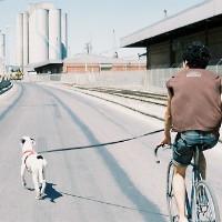 男生嚣张头像图片_WWW.WHOISQQ.COM
