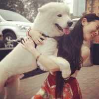 男生头像图片带萨摩耶_WWW.WHOISQQ.COM