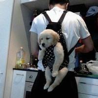带猫猫的男生头像图片_WWW.WHOISQQ.COM