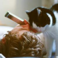 qq头像图片 男生带猫咪的_WWW.WHOISQQ.COM