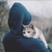 男生与猫的qq头像图片_WWW.WHOISQQ.COM