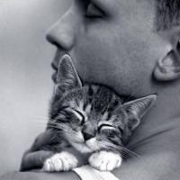 男生与猫的qq头像图片_WWW.WHOISQQ.COM