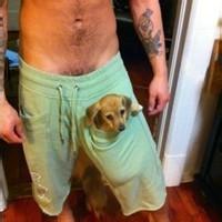 男生头像图片昵称签名_WWW.WHOISQQ.COM