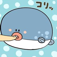 动漫可爱猫咪男生头像图片_WWW.WHOISQQ.COM