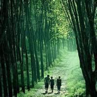树林男生头像图片_WWW.WHOISQQ.COM