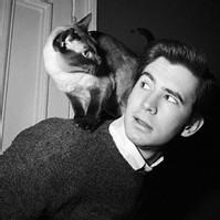 qq男生伤感抱猫头像图片_WWW.WHOISQQ.COM