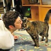 qq男生伤感抱猫头像图片_WWW.WHOISQQ.COM