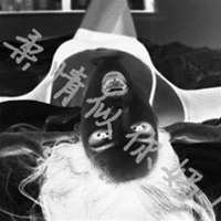 qq头像图片男生无字GIF_WWW.WHOISQQ.COM