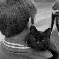 男生抱黑猫头像图片_WWW.WHOISQQ.COM