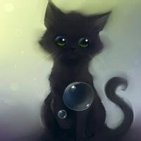男生抱黑猫头像图片_WWW.WHOISQQ.COM