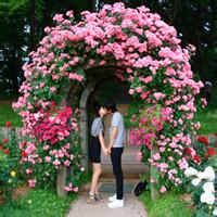 qq头像图片男生海里_WWW.WHOISQQ.COM