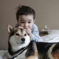 qq头像图片男生哈士奇_WWW.WHOISQQ.COM