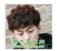 男生卷发头像图片_WWW.WHOISQQ.COM