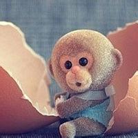 全白男生头像图片_WWW.WHOISQQ.COM