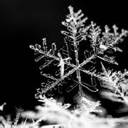 男生头像图片雪景_WWW.WHOISQQ.COM