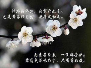 鬼步舞男生头像图片_WWW.WHOISQQ.COM
