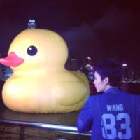男生头像图片小黄鸭_WWW.WHOISQQ.COM
