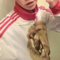 男生头像图片小黄鸭_WWW.WHOISQQ.COM