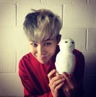 gd头像图片男生_WWW.WHOISQQ.COM