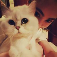 qq头像图片大全男生抱着猫_WWW.WHOISQQ.COM