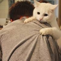 qq头像图片不漏脸男生_WWW.WHOISQQ.COM